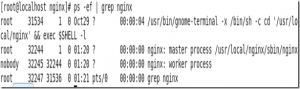 linux-nginx-01